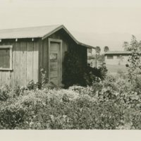 SBCAA: &quot;Mexican House&quot; (Carpinteria, Calif.)